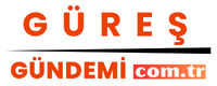 guresgundemi.com.tr